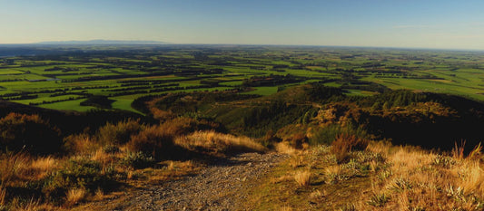 How to build effective Meta Ad audiences