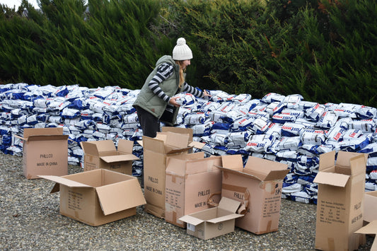 Why Organic vs Paid Balance Matters in Your Marketing Mix