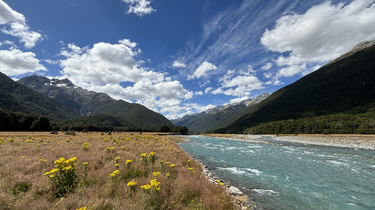 Meta Ads Driving Stronger Booking Results!